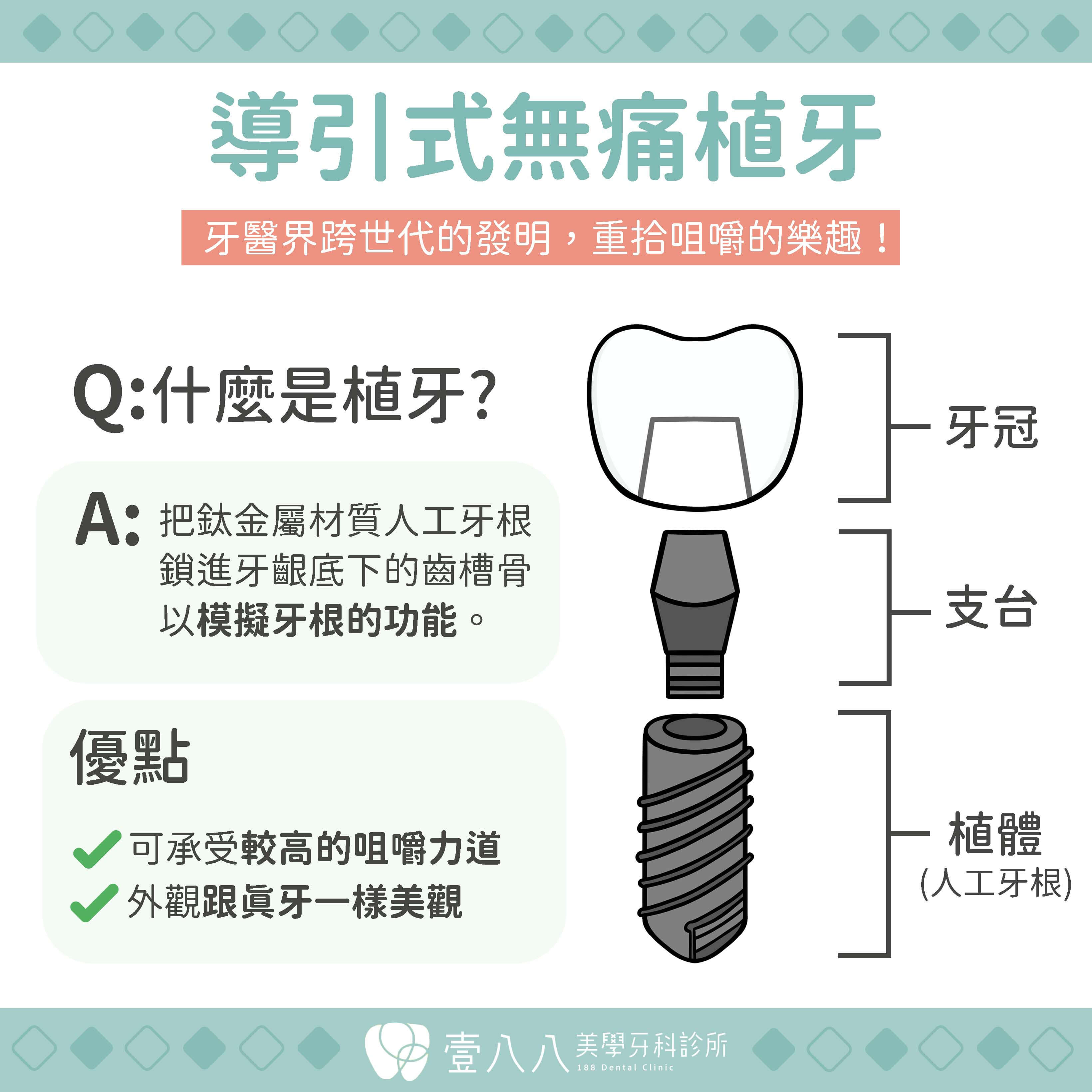 植體拆解